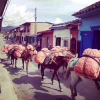 CONSTUMBRES Y TRADICIONES