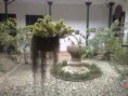 /album/fotogaleria-contacto/a29981-1462893852854-3388967-n-jpg1/