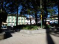 /album/fotogaleria-contacto/a200802-1016793785611-625-n-jpg1/