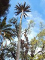 /album/fotogaleria-contacto/a310060-10200807549047512-196182184-n-jpg1/