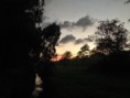 /album/fotogaleria-contacto/a603340-10151191636088247-2061446728-n-jpg1/
