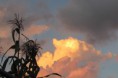 /album/fotogaleria-contacto/a1418245-556576931085325-1895530722-n-jpg1/