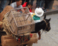 /album/imagenes/a10-gif/