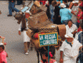 /album/imagenes/a12-gif/
